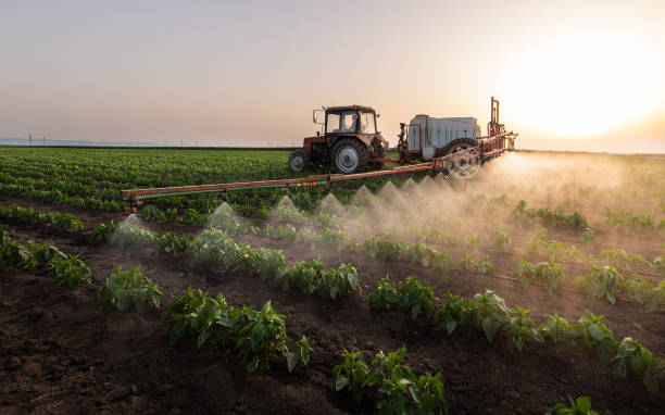 Best Wildlife Control Services  in Adel, IA