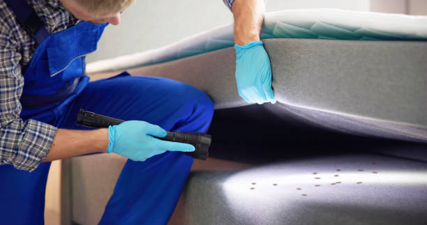 Best Pest Prevention Services  in Adel, IA