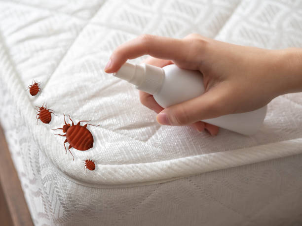 Professional Pest Control in Adel, IA
