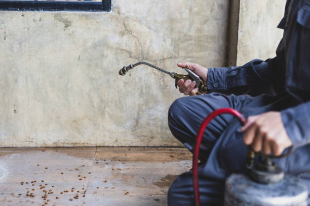 Best Pest Control Treatment  in Adel, IA